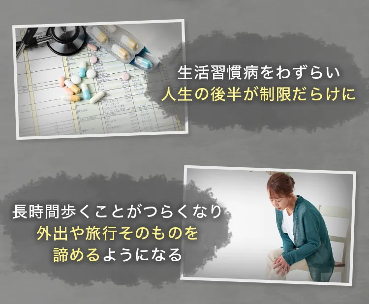 ・生活習慣病をわずらい、人生の後半が制限だらけに・長時間歩くことがつらくなり、外出や旅行そのものを諦めるようになる